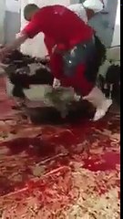 واش دبا هذا هو الحج واش هكدا ربي قالينا نعاملو الأضحية ؟؟