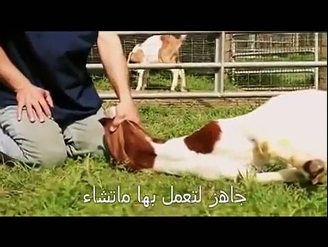 معجزة ودليل قاطع أن الإسلام دين الحق
