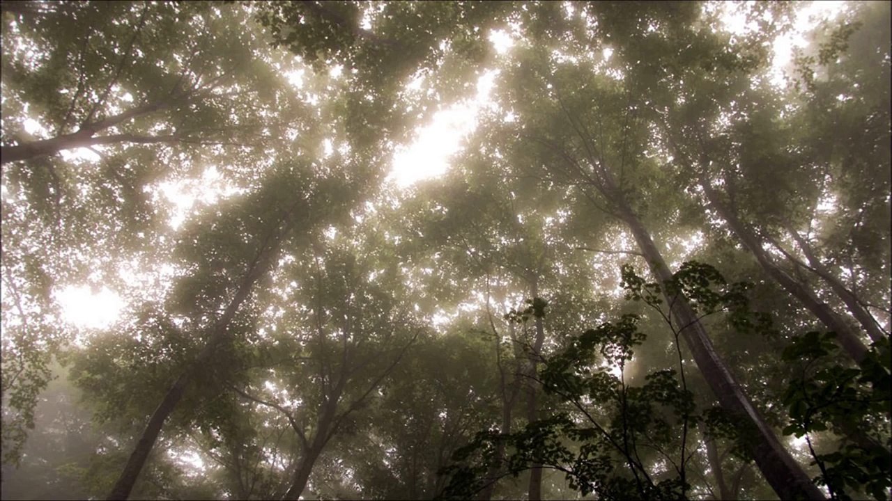 大山智志【暗い・悲しいクラシックピアノ曲08】フォーレ---夢のあとに