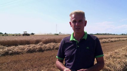 EU funds feed Bulgaria's grain millionaires