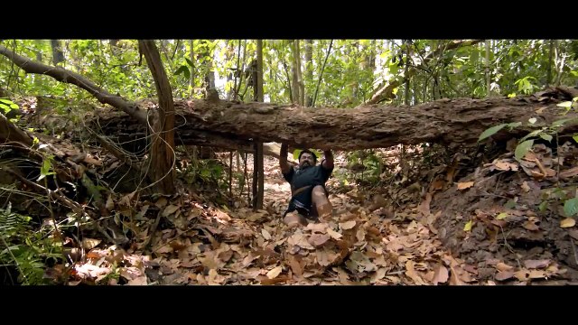 Pulimurugan Official Trailer | Mohanlal | Vysakh | Mulakuppadam Films