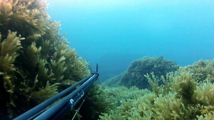 Spearfishing Malta 22 April 2012