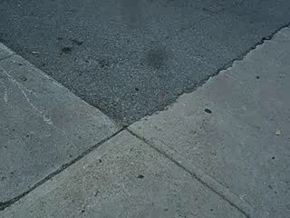 Appartement Montreal regis