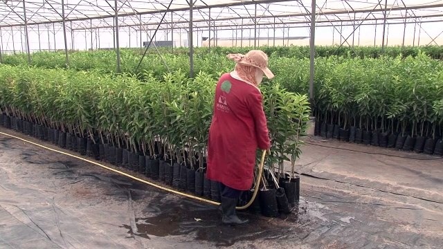 Tunisia goes thirsty as repeated droughts raise concerns