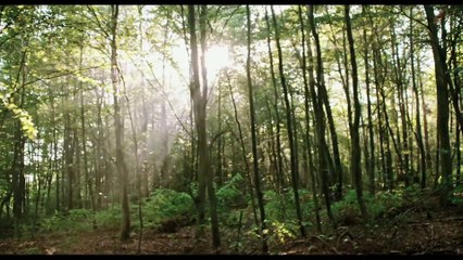 Blair Witch (2016 Movie) Trailer - “Don’t Go In There”