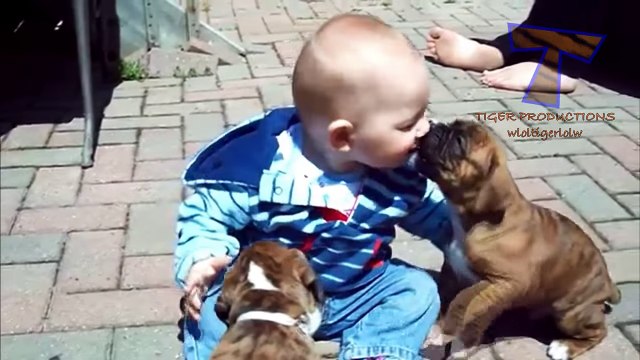 Funny babies annoying dogs - Cute dog & baby compilation