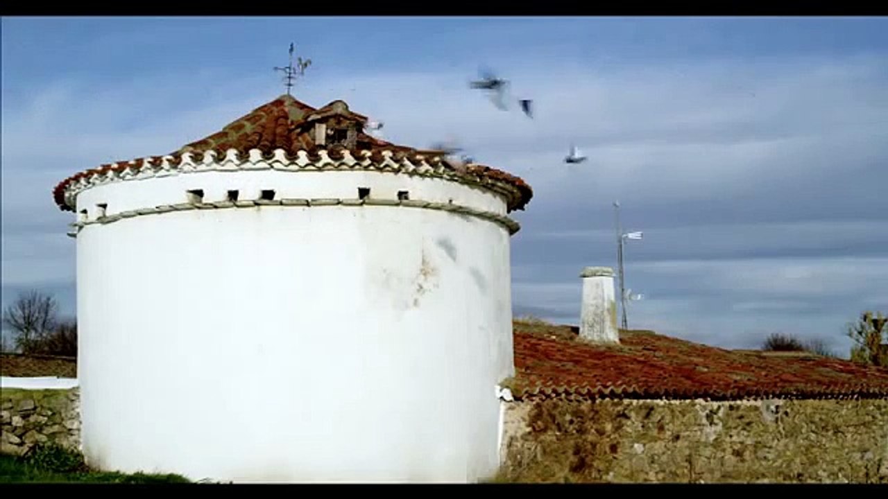 'Ártico'- Trailer Berlinale