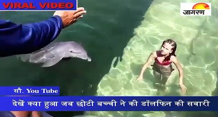 देखें क्या हुआ जब छोटी बच्ची ने की डॉलफिन की सवारी