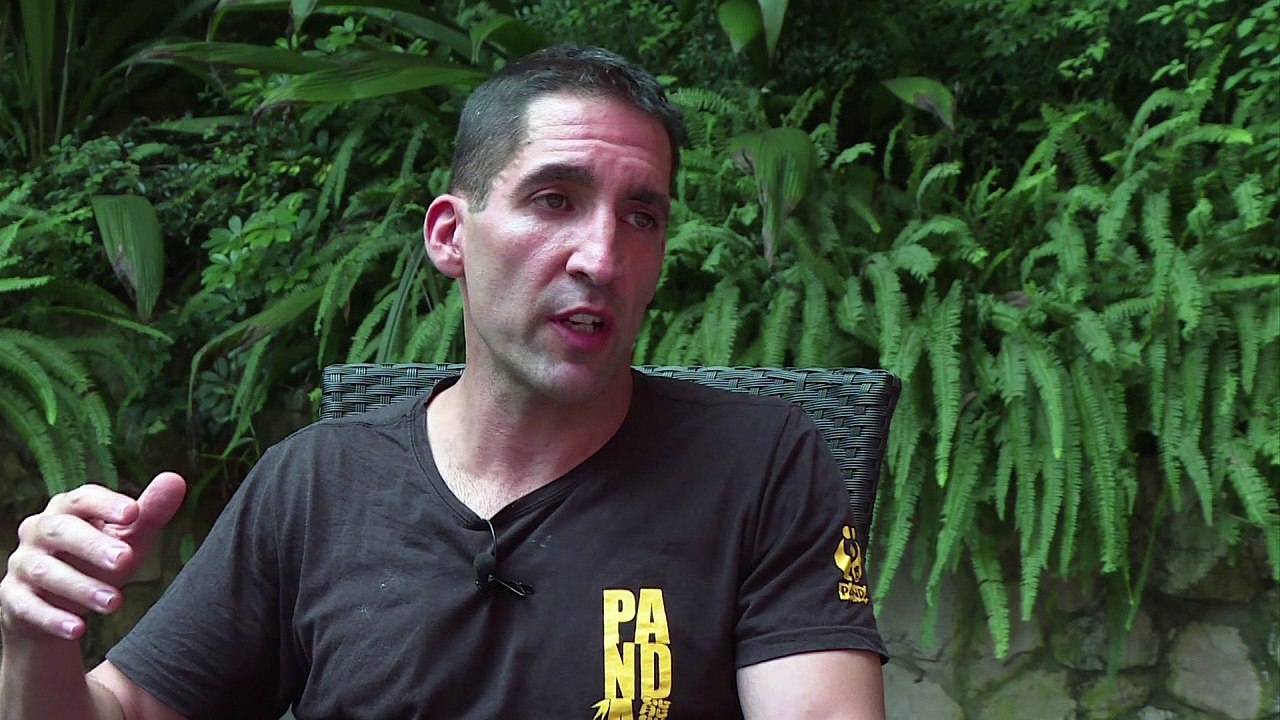 Riesenpandas sind weiter gefährdet - trotz positiver Entwicklung