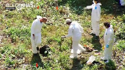 У Мексиці з'ясовують причетність федеральної поліції до убивства 43 студентів