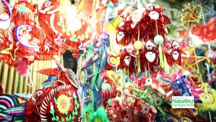 Phố lồng đèn - Vui Sống Mỗi Ngày [VTV3 - 12.09.2016]