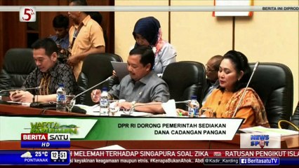 DPR Dorong Pemerintah Sediakan Dana Cadangan Pangan