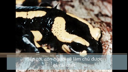 Sắp tới, con người sẽ làm chủ được cả cái chết