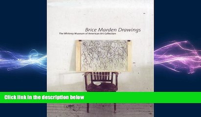 Free [PDF] Downlaod  Brice Marden Drawings (Whitney Museum of American Art Books)  DOWNLOAD ONLINE