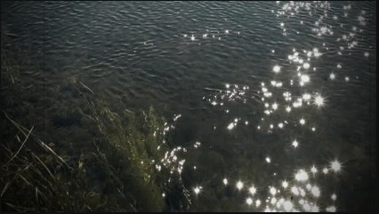 Splet narodnih pesama 13 - duetske numere