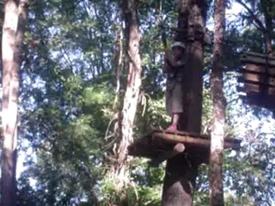 TARZAN EST DE RETOUR