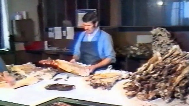 Lapin tu as eu ma peau !