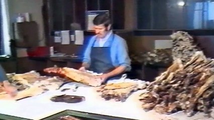 Lapin tu as eu ma peau !