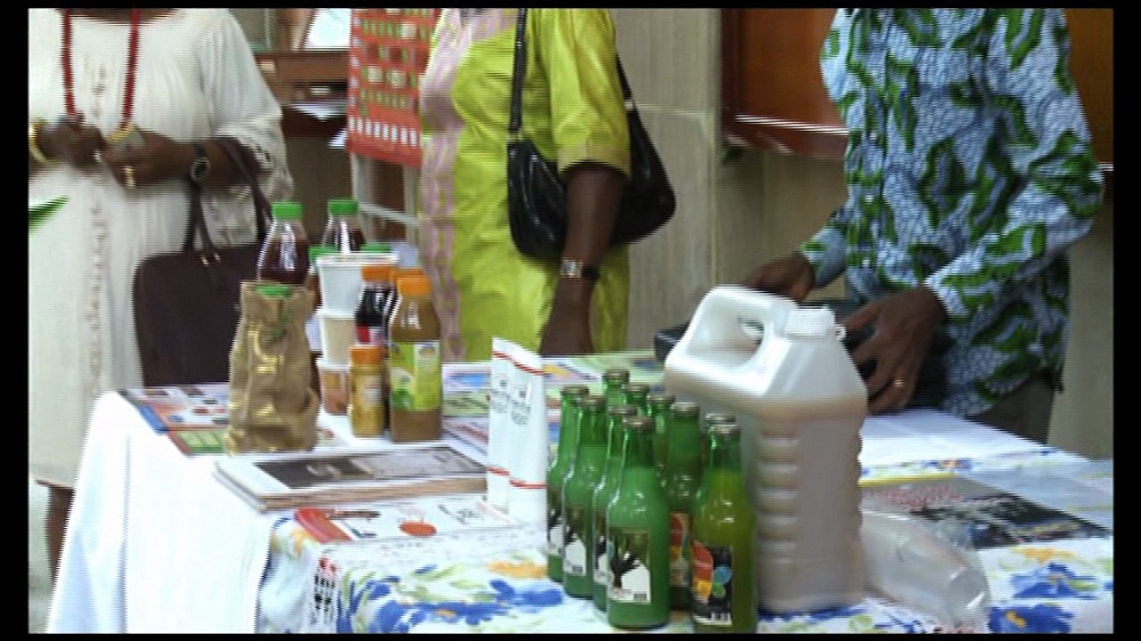 Célébration Journée de la propriété intellectuelle : Les inventeurs à la recherche de financement