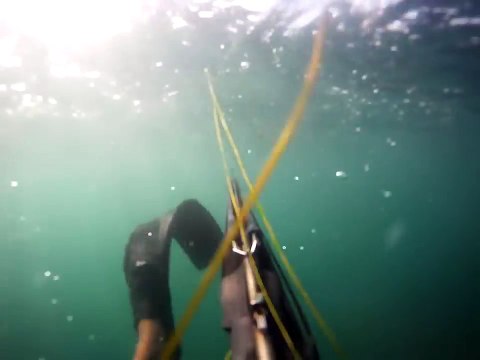 Il survit à une attaque de grand requin blanc en l'attaquant avec son fusil harpon