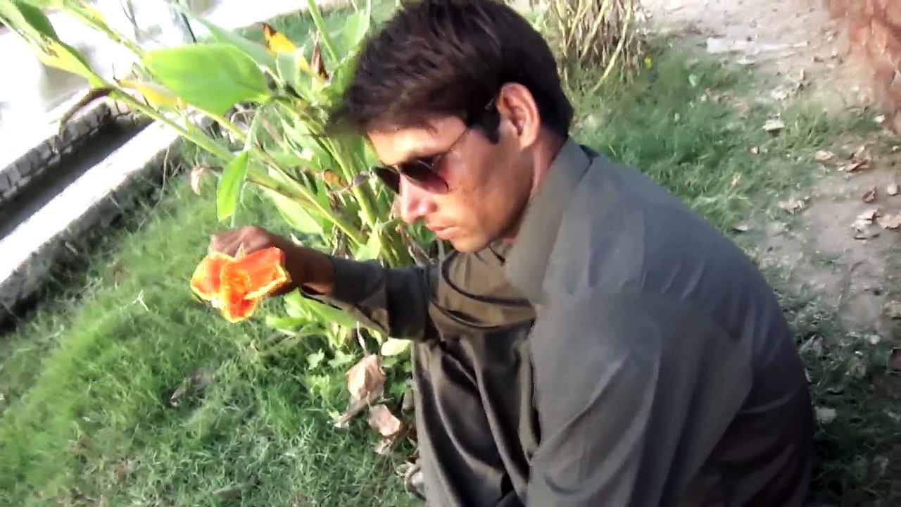 Sajjna chortoo Eid ul azaha_x264