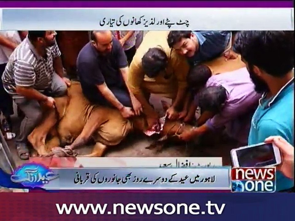 2nd day of Eid: Sacrifices of animals continue2nd day of Eid: Sacrifices of animals continue