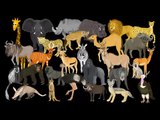 Cool Animal ABC's - Zoo Alphabet - The Kids' Picture Show (Fun ...