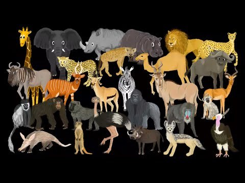 African Animals - The Kids' Picture Show (Fun & Educational Learning Video)  - video Dailymotion