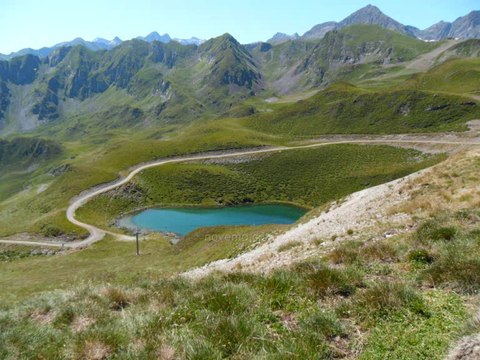 Qu’est-ce qui vous est le plus cher : Votre téléphone, ou la nature ? - Environnement