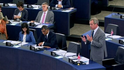 Farage: It's clear no lessons will be learnt from Brexit