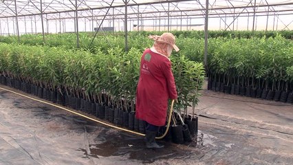 La Tunisie menacée par une "crise de la soif"