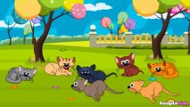 HooplaKidz - Nursery Rhymes Songs, As I was Going to St. Ives, Favorite Nursery Rhymes & Baby Songs by HooplaKidz