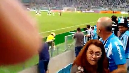 فيديو.. مشجعة تخلع ملابسها وتقتحم ملعب في البرازيل بعد شجار مع الأمن! -