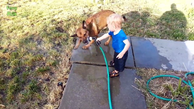 Dogs and Babies Playing with Hoses Compilation 2015 - YouTube