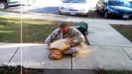 Dogs Never Lie About Love - Smartest Dogs Compilation - Man s Best Friend