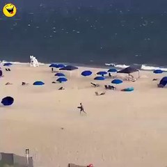 Mankind stands no chance