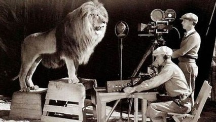 10 Rare Photos From History