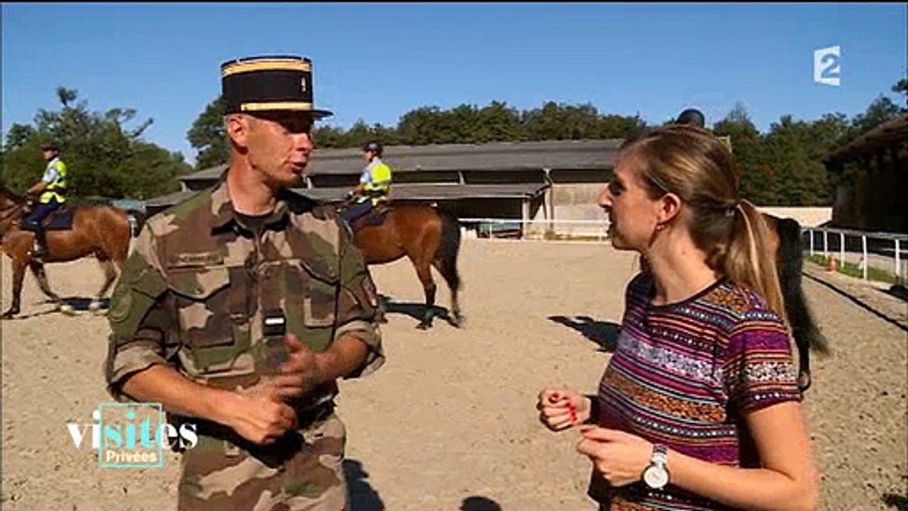 Découvrez les entraînements réalisés par les chevaux de la garde républicaine - Regardez