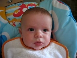 Première cuillière de compote