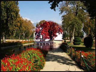 composed and sung by me...