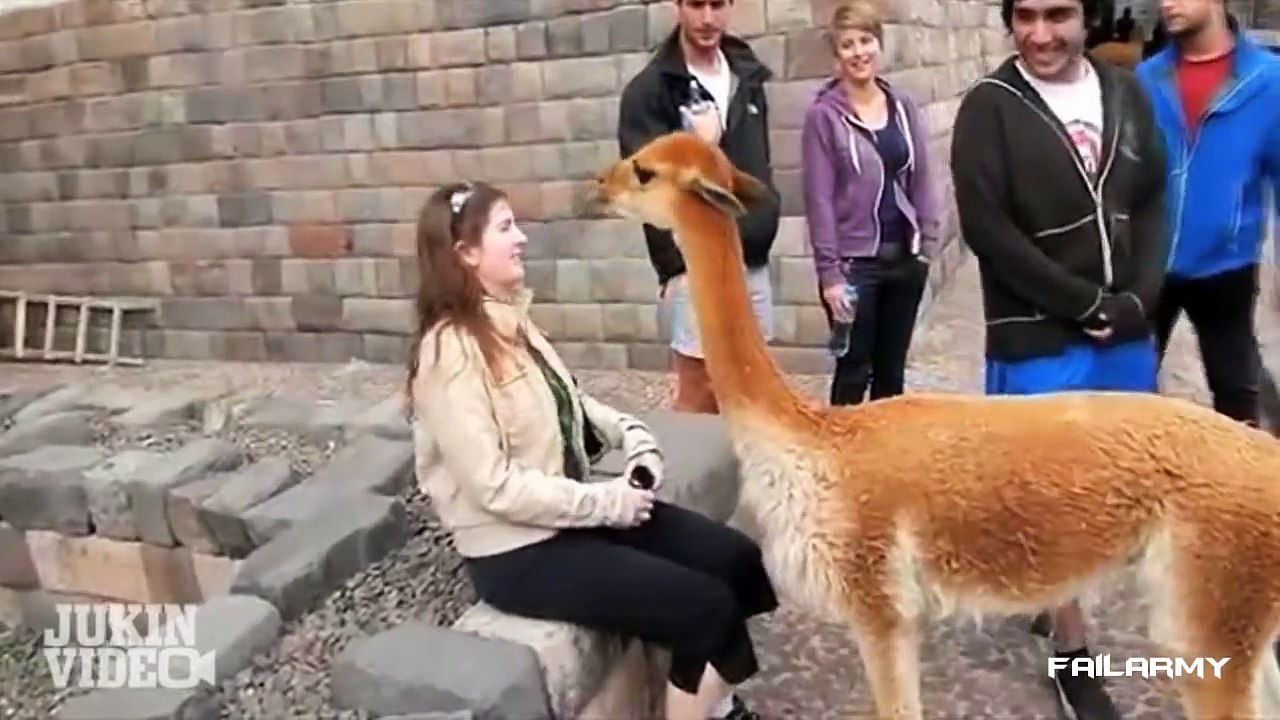 Fail Compilation of the Month September 2012    FailArmy