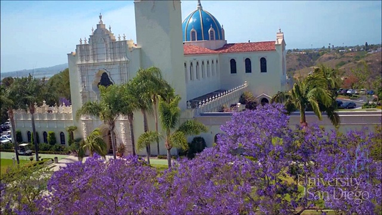 Sly Dog Production Demo Reel