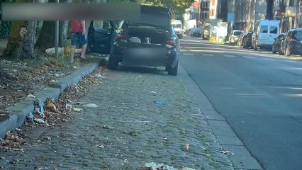 Molenbeek: Top Seizures Against Environmental Polluters 🌍