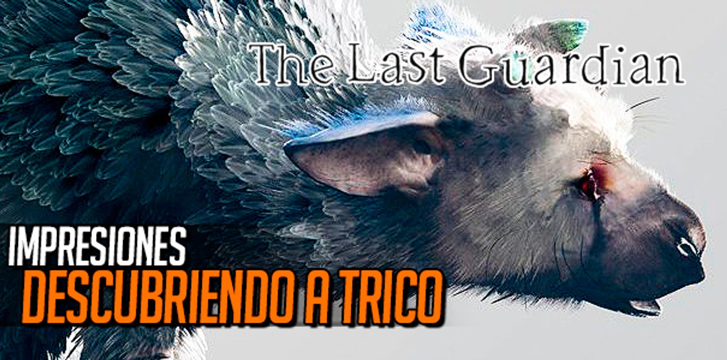 The Last Guardian: Descubriendo a Trico, Impresiones
