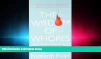 book online The Wisdom of Whores: Bureaucrats, Brothels and the Business of AIDS