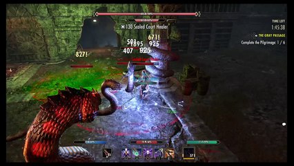 The Elder Scrolls Online: Solo Boss Fight