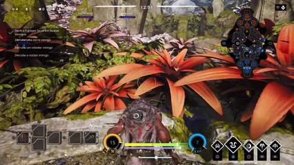 Paragon warding red lane