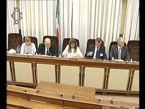 Roma - Audizione Trovato (14.09.16)