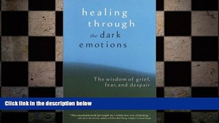 Must Have PDF  Healing through the Dark Emotions: The Wisdom of Grief, Fear, and Despair  Free