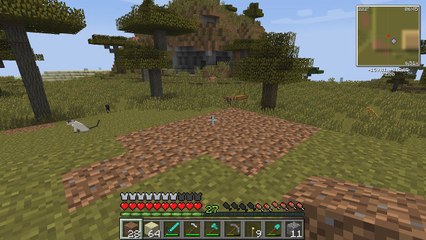 survival; comecando a nossa casa